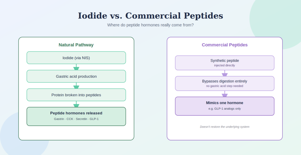 Iodine, gastric acid, protein digestion, and GLP-1 hormonal signaling