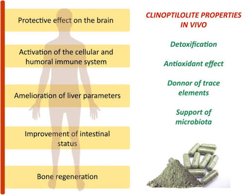 volcanic zeolite used for heavy metal binding and gut health