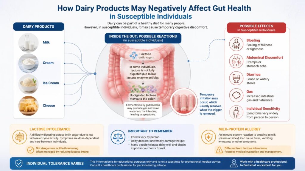 Illustration of a milk droplet with a molecular casein structure connected to the gut, representing the link between dairy, casein and gut health